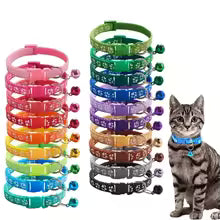 Universalhalsband für Katzen