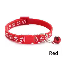 Universalhalsband für Katzen