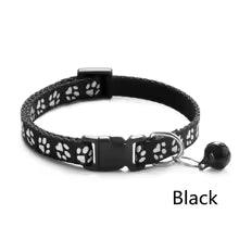 Universalhalsband für Katzen