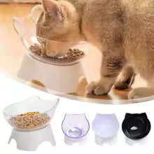 Erhöhte, geneigte Kunststoffschale für Katzen